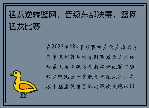 猛龙逆转篮网，晋级东部决赛，篮网猛龙比赛