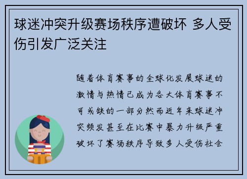 球迷冲突升级赛场秩序遭破坏 多人受伤引发广泛关注